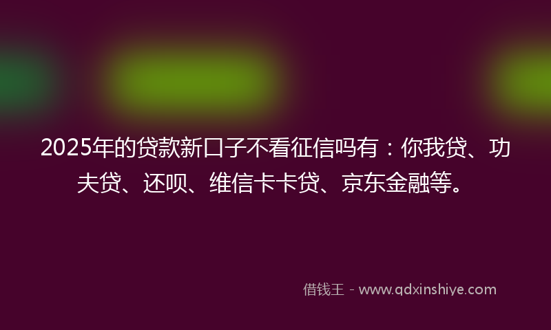 2025年的贷款新口子不看征信吗有：你我贷、功夫贷、还呗、维信卡卡贷、京东金融等。