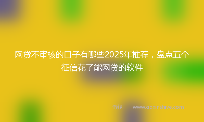 网贷不审核的口子有哪些2025年推荐，盘点五个征信花了能网贷的软件