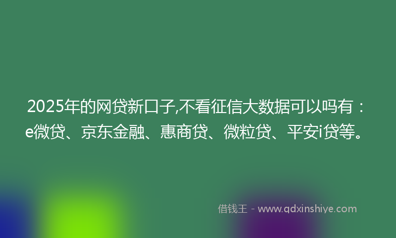 2025年的网贷新口子,不看征信大数据可以吗有：e微贷、京东金融、惠商贷、微粒贷、平安i贷等。