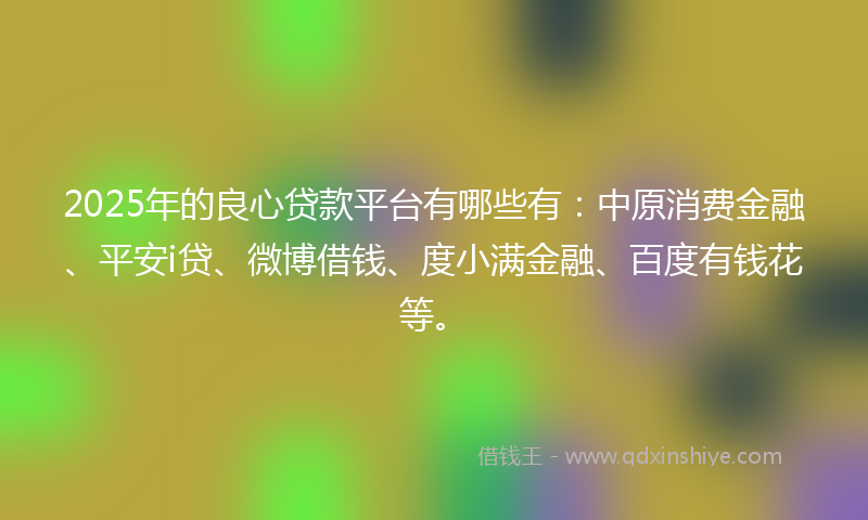 2025年的良心贷款平台有哪些有：中原消费金融、平安i贷、微博借钱、度小满金融、百度有钱花等。