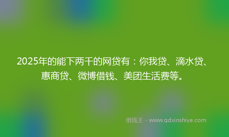 2025年的能下两千的网贷有：你我贷、滴水贷、惠商贷、微博借钱、美团生活费等。