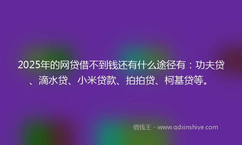 2025年的网贷借不到钱还有什么途径有：功夫贷、滴水贷、小米贷款、拍拍贷、柯基贷等。