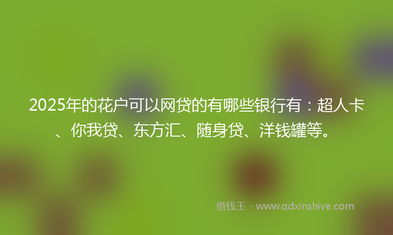 2025年的花户可以网贷的有哪些银行有：超人卡、你我贷、东方汇、随身贷、洋钱罐等。
