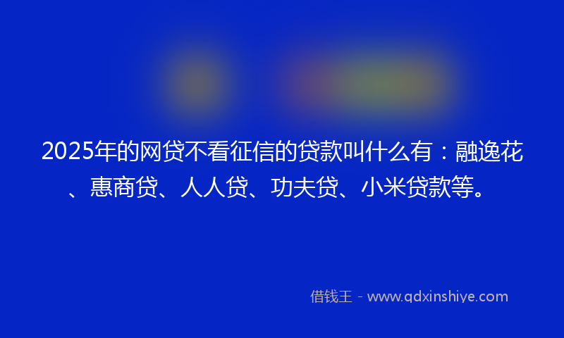2025年的网贷不看征信的贷款叫什么有：融逸花、惠商贷、人人贷、功夫贷、小米贷款等。