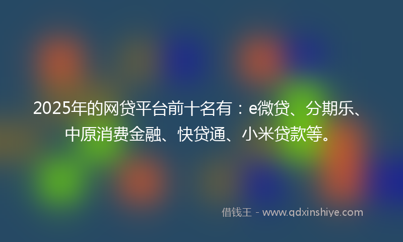 2025年的网贷平台前十名有：e微贷、分期乐、中原消费金融、快贷通、小米贷款等。