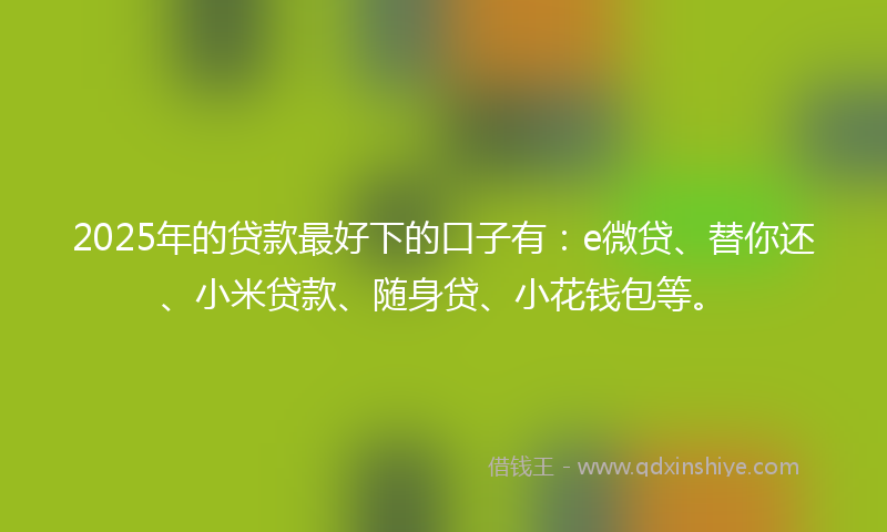2025年的贷款最好下的口子有：e微贷、替你还、小米贷款、随身贷、小花钱包等。