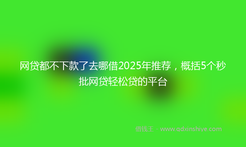 网贷都不下款了去哪借2025年推荐，概括5个秒批网贷轻松贷的平台