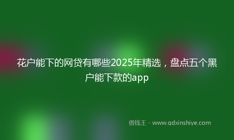 花户能下的网贷有哪些2025年精选，盘点五个黑户能下款的app