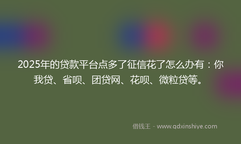 2025年的贷款平台点多了征信花了怎么办有：你我贷、省呗、团贷网、花呗、微粒贷等。