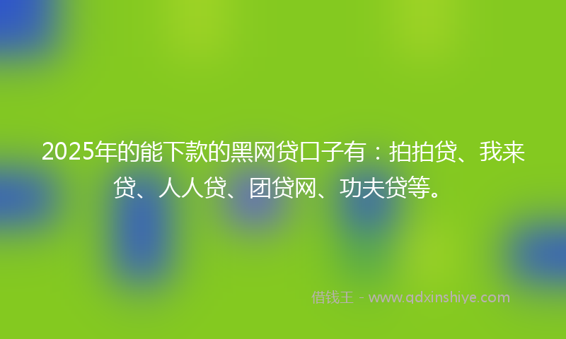 2025年的能下款的黑网贷口子有：拍拍贷、我来贷、人人贷、团贷网、功夫贷等。