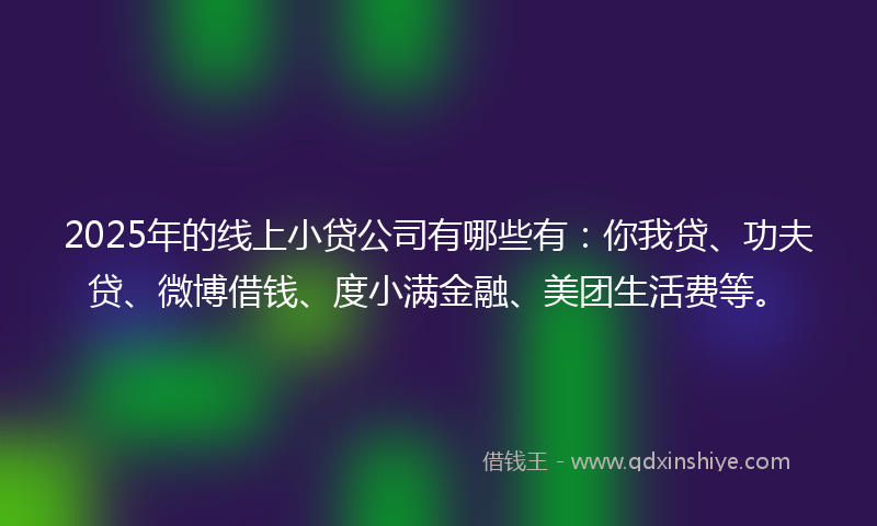 2025年的线上小贷公司有哪些有：你我贷、功夫贷、微博借钱、度小满金融、美团生活费等。