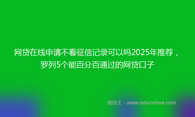网贷在线申请不看征信记录可以吗2025年推荐，罗列5个能百分百通过的网贷口子