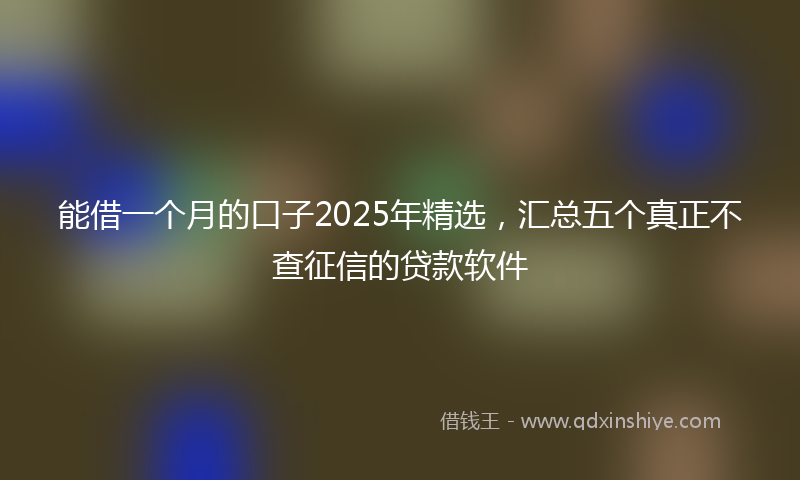 能借一个月的口子2025年精选，汇总五个真正不查征信的贷款软件