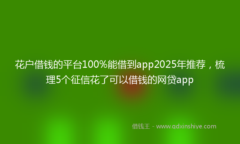 花户借钱的平台100%能借到app2025年推荐，梳理5个征信花了可以借钱的网贷app