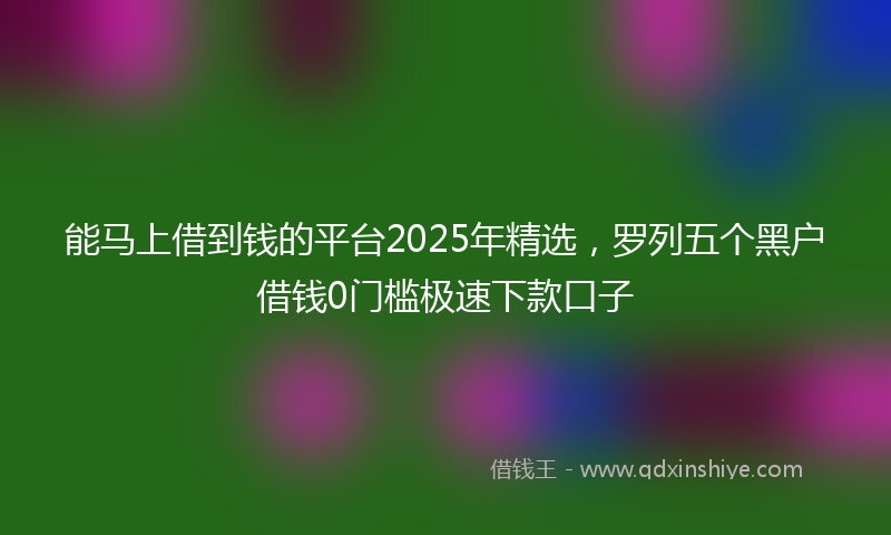 能马上借到钱的平台2025年精选，罗列五个黑户借钱0门槛极速下款口子