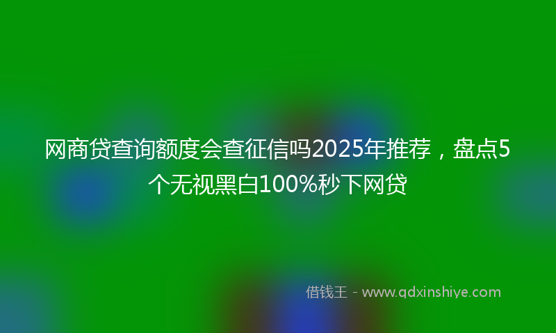 网商贷查询额度会查征信吗2025年推荐，盘点5个无视黑白100%秒下网贷