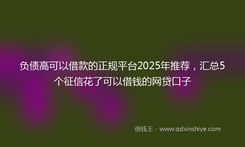 负债高可以借款的正规平台2025年推荐，汇总5个征信花了可以借钱的网贷口子