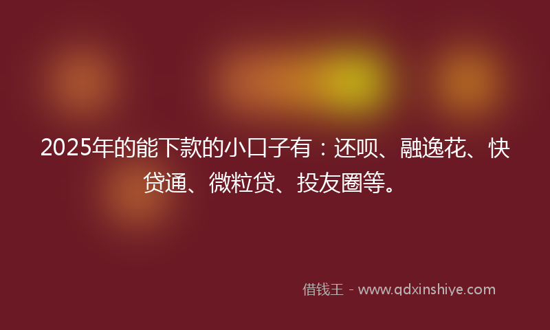 2025年的能下款的小口子有：还呗、融逸花、快贷通、微粒贷、投友圈等。