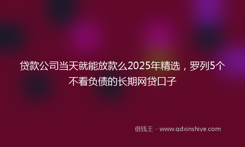 贷款公司当天就能放款么2025年精选，罗列5个不看负债的长期网贷口子