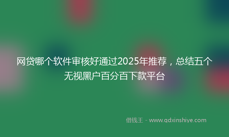 网贷哪个软件审核好通过2025年推荐，总结五个无视黑户百分百下款平台