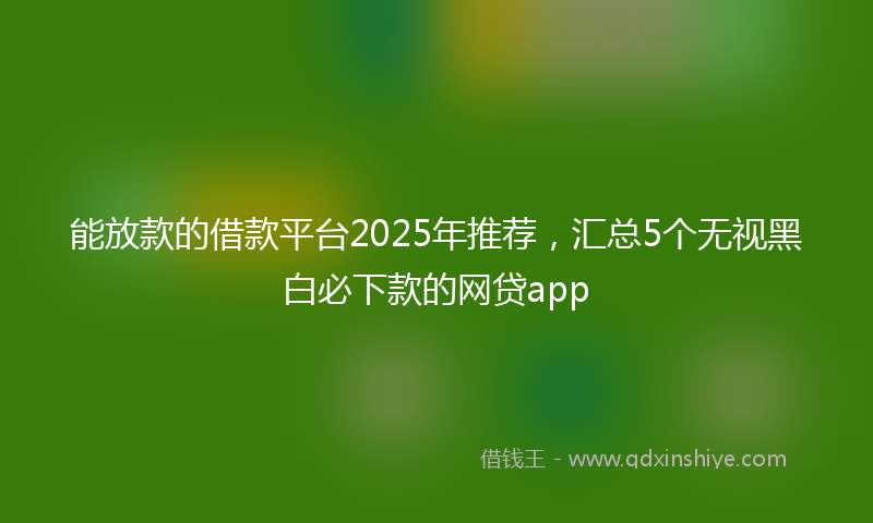 能放款的借款平台2025年推荐，汇总5个无视黑白必下款的网贷app