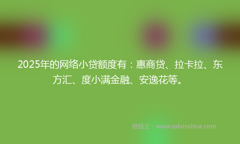 2025年的网络小贷额度有：惠商贷、拉卡拉、东方汇、度小满金融、安逸花等。