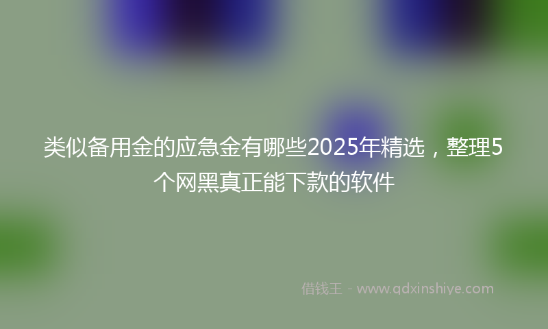类似备用金的应急金有哪些2025年精选，整理5个网黑真正能下款的软件