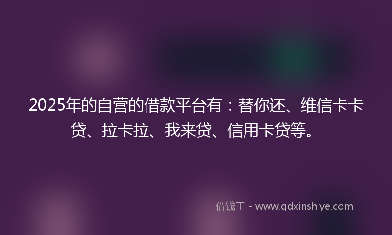 2025年的自营的借款平台有：替你还、维信卡卡贷、拉卡拉、我来贷、信用卡贷等。