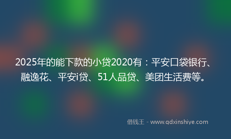 2025年的能下款的小贷2020有：平安口袋银行、融逸花、平安i贷、51人品贷、美团生活费等。