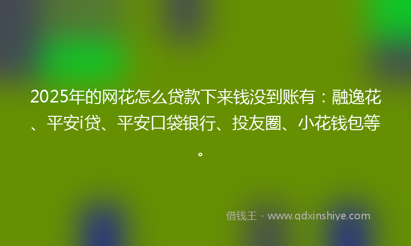 2025年的网花怎么贷款下来钱没到账有：融逸花、平安i贷、平安口袋银行、投友圈、小花钱包等。