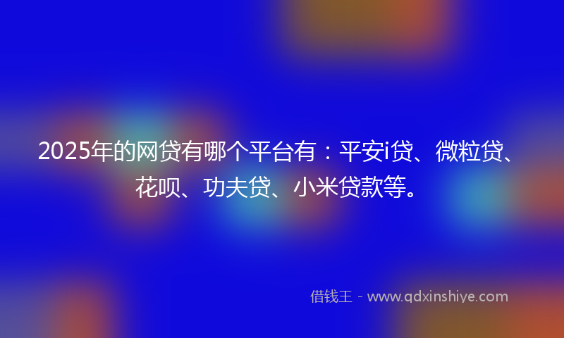 2025年的网贷有哪个平台有：平安i贷、微粒贷、花呗、功夫贷、小米贷款等。