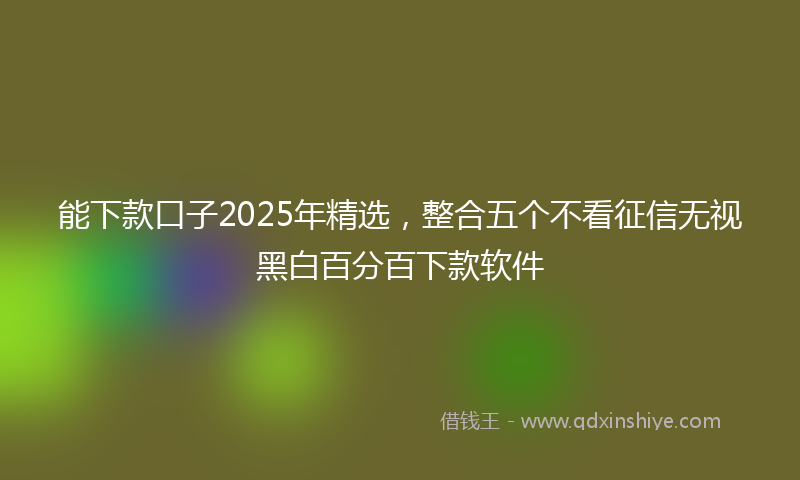 能下款口子2025年精选，整合五个不看征信无视黑白百分百下款软件