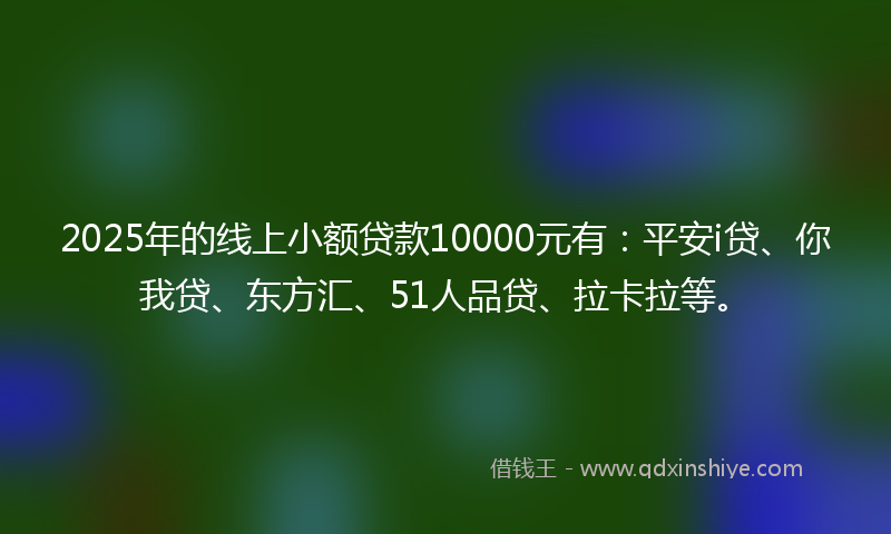 2025年的线上小额贷款10000元有：平安i贷、你我贷、东方汇、51人品贷、拉卡拉等。