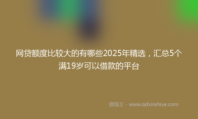 网贷额度比较大的有哪些2025年精选，汇总5个满19岁可以借款的平台