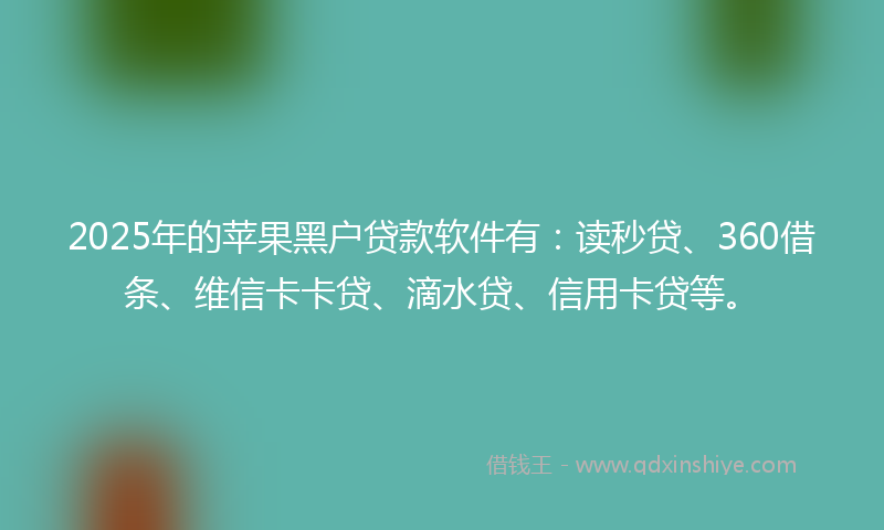 2025年的苹果黑户贷款软件有：读秒贷、360借条、维信卡卡贷、滴水贷、信用卡贷等。