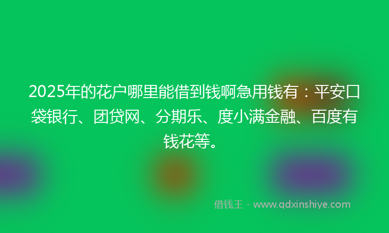 2025年的花户哪里能借到钱啊急用钱有：平安口袋银行、团贷网、分期乐、度小满金融、百度有钱花等。
