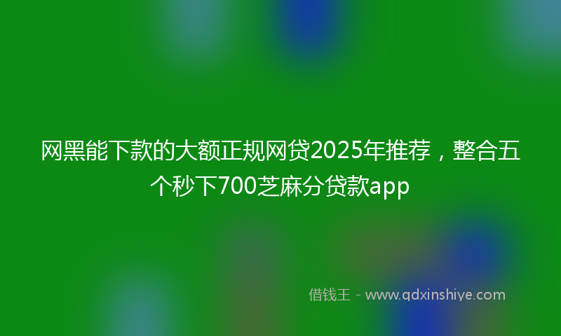网黑能下款的大额正规网贷2025年推荐，整合五个秒下700芝麻分贷款app
