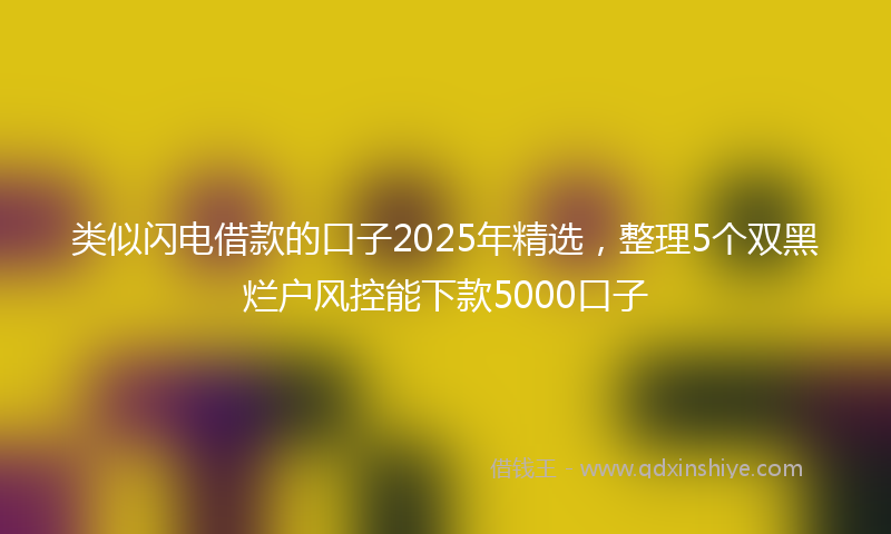 类似闪电借款的口子2025年精选，整理5个双黑烂户风控能下款5000口子
