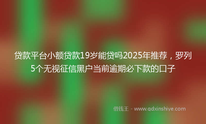 贷款平台小额贷款19岁能贷吗2025年推荐，罗列5个无视征信黑户当前逾期必下款的口子