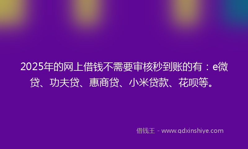2025年的网上借钱不需要审核秒到账的有：e微贷、功夫贷、惠商贷、小米贷款、花呗等。