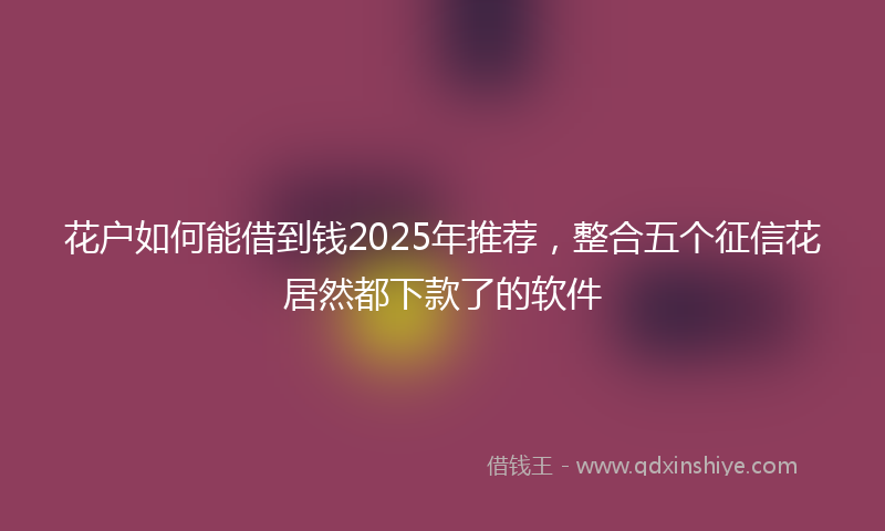 花户如何能借到钱2025年推荐，整合五个征信花居然都下款了的软件