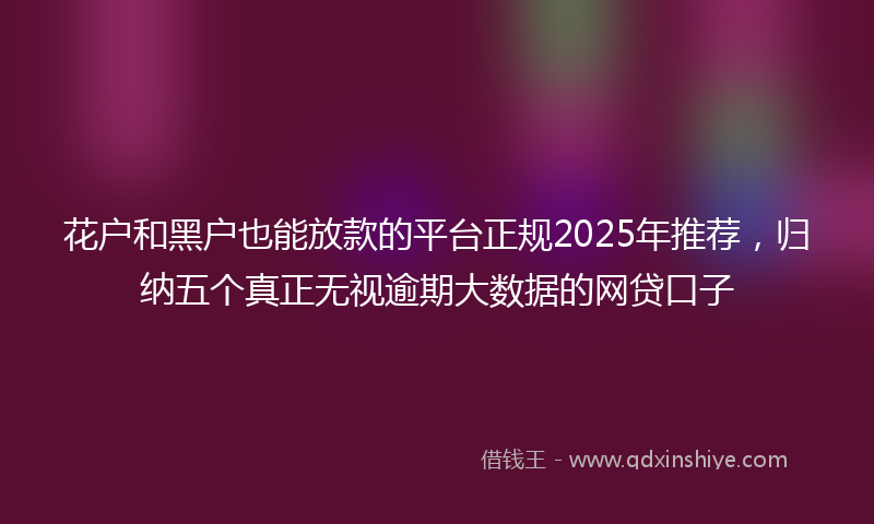 花户和黑户也能放款的平台正规2025年推荐，归纳五个真正无视逾期大数据的网贷口子