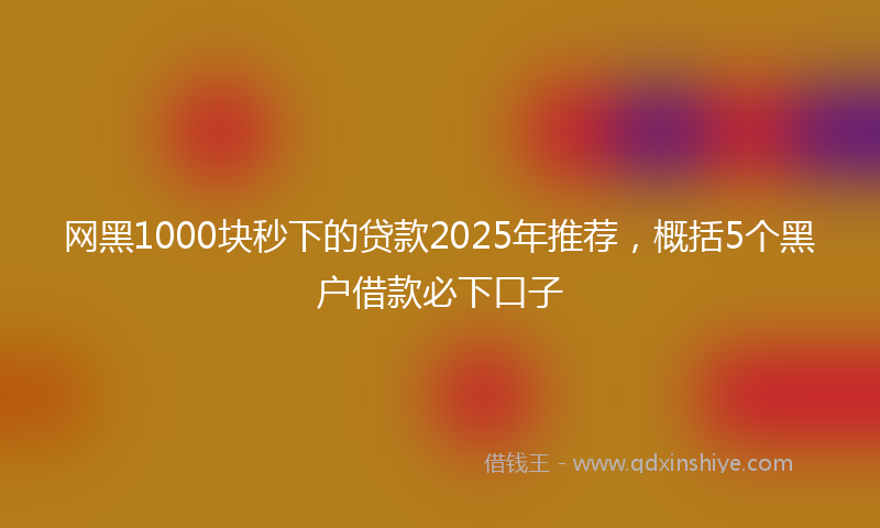 网黑1000块秒下的贷款2025年推荐，概括5个黑户借款必下口子