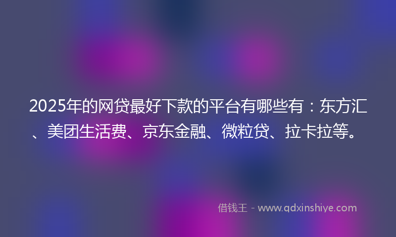 2025年的网贷最好下款的平台有哪些有：东方汇、美团生活费、京东金融、微粒贷、拉卡拉等。