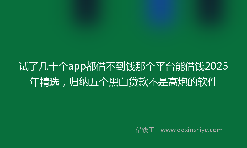 试了几十个app都借不到钱那个平台能借钱2025年精选，归纳五个黑白贷款不是高炮的软件