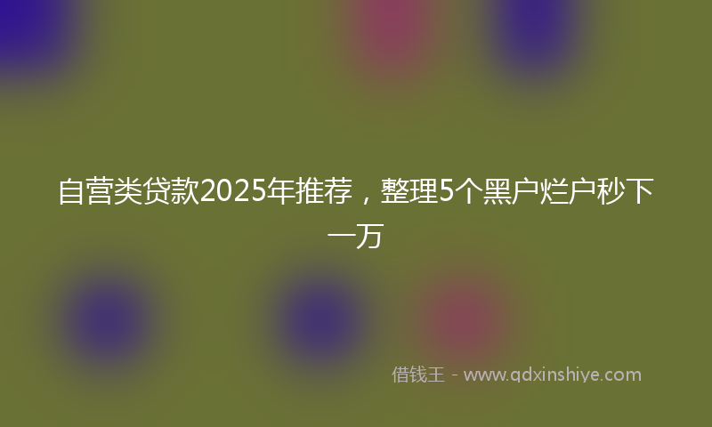 自营类贷款2025年推荐，整理5个黑户烂户秒下一万
