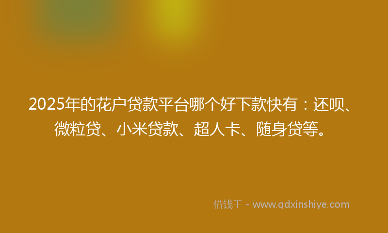 2025年的花户贷款平台哪个好下款快有：还呗、微粒贷、小米贷款、超人卡、随身贷等。