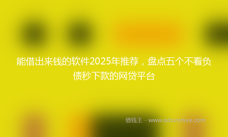 能借出来钱的软件2025年推荐，盘点五个不看负债秒下款的网贷平台