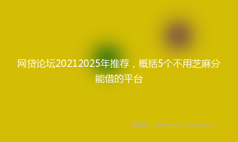 网贷论坛20212025年推荐，概括5个不用芝麻分能借的平台