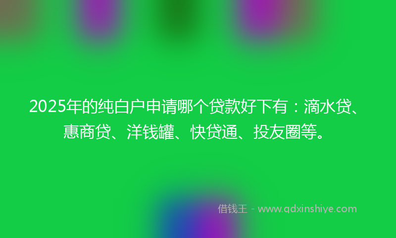 2025年的纯白户申请哪个贷款好下有：滴水贷、惠商贷、洋钱罐、快贷通、投友圈等。